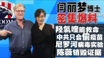 【中英文字幕】闫丽梦博士:羟氯喹虽不是神药,但是能救命!中共在研发更可怕的病毒!陈薇去武汉就是为了销毁证据!