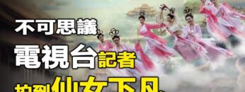 [ID: FFAe40nBouU] Youtube Automatic