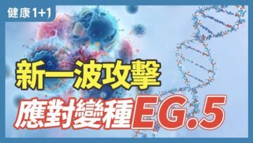 [ID: Lyu4tDv3Fx8] Youtube Automatic