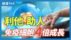 私密：[ID: 0uCNZ9UJMRc] Youtube Automatic