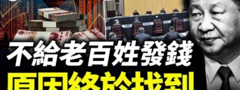 [ID: ipapw2dI8C8] Youtube Automatic