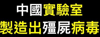 [ID: UPEfVMRzZTI] Youtube Automatic