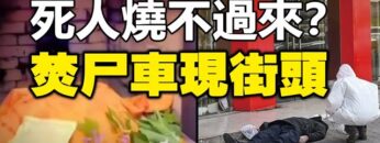 [ID: uTmFKcCQ7kM] Youtube Automatic