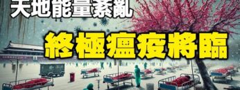 [ID: NIWtvz2hxGo] Youtube Automatic