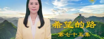 [ID: FRPA1bdpTlg] Youtube Automatic