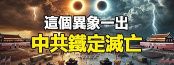 [ID: S28azqTJQkA] Youtube Automatic