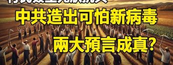 [ID: llOcco1ttoI] Youtube Automatic