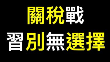 [ID: dodRr6wwL9w] Youtube Automatic