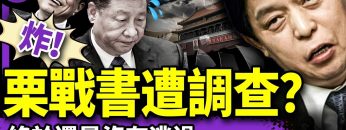 私密：[ID: DuBLSfD6xIk] Youtube Automatic