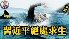 私密：[ID: ZfXJZt54fL4] Youtube Automatic