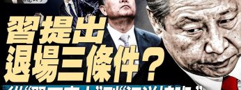 私密：[ID: OnxpWwenoAA] Youtube Automatic