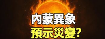 [ID: e8Mvthy29p0] Youtube Automatic