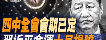 [ID: ZQQ4oPS9mwY] Youtube Automatic