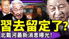 [ID: dkuONeU8BZw] Youtube Automatic