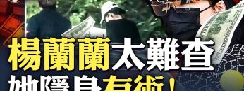 私密：[ID: mTJKzoYYJmM] Youtube Automatic