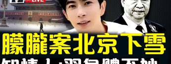 [ID: 0YnF84Ut440] Youtube Automatic