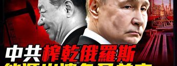 私密：[ID: pND7tOVgAxE] Youtube Automatic