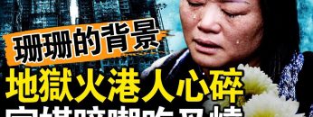 私密：[ID: 4Up6F9zI1MY] Youtube Automatic