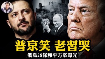 私密：[ID: skPtmwQneG0] Youtube Automatic