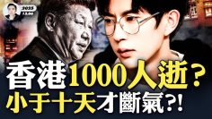 [ID: tvgqwvZldWI] Youtube Automatic